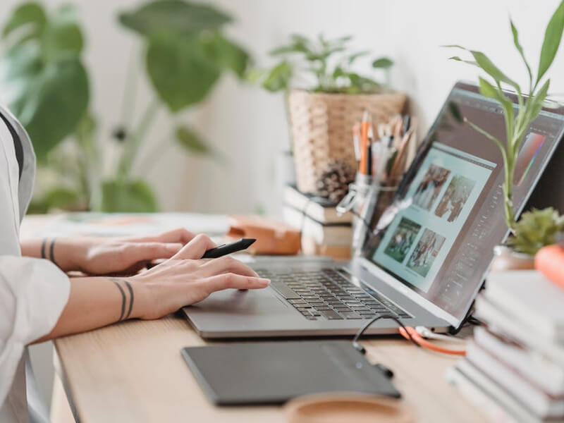 Track Everything, Anytime